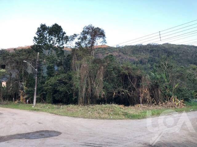#239 - Terreno para Venda em Caraguatatuba - SP